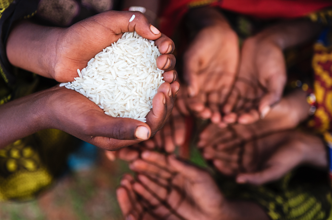 O Dia das Crianças e a fome que o Brasil insiste em ignorar