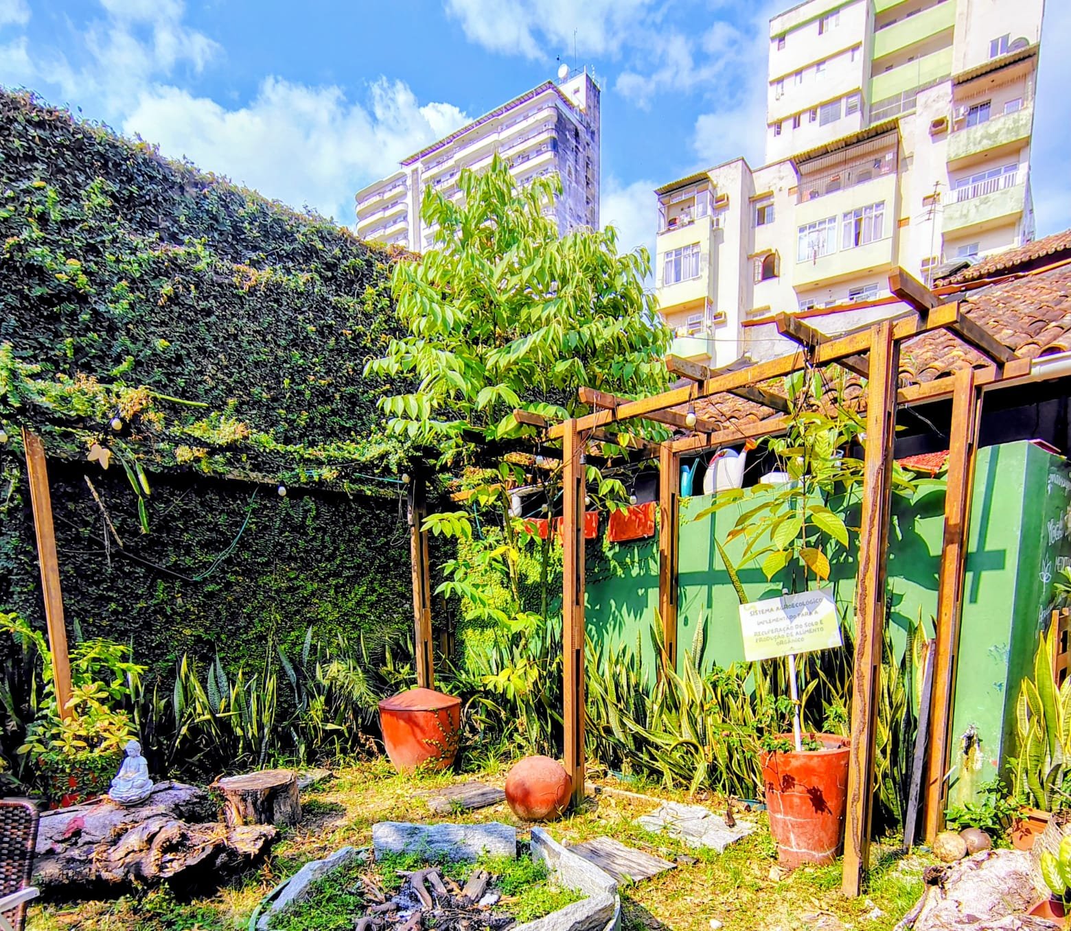 ONGs mudam o clima das casas em Belém