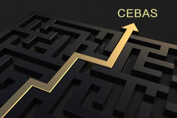 Seminário Cebas, em SP, fortalecerá atuação de gestores para obter e manter certificado