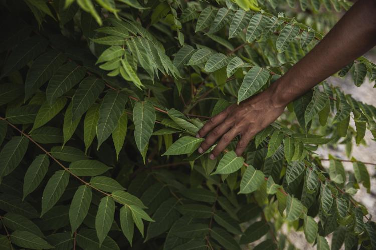 Fundação Cargill fortalecerá até 15 projetos de desenvolvimento institucional