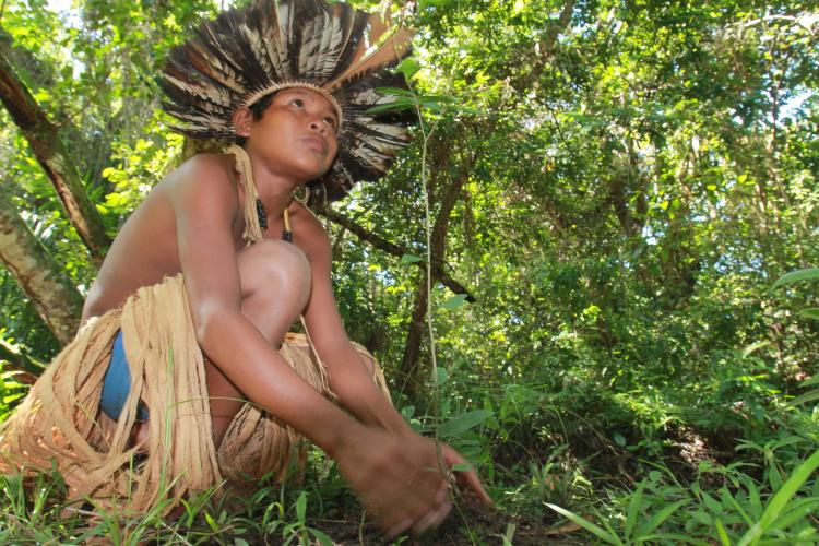 Fundo Brasil de Direitos Humanos lança edital de R$ 1,5 mi para fortalecer direitos de povos indígenas