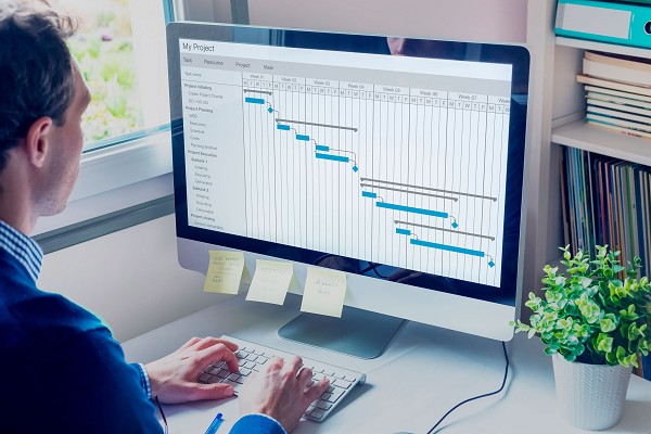 Curso on-line: ProgramD Pro - O gerente prático do programa